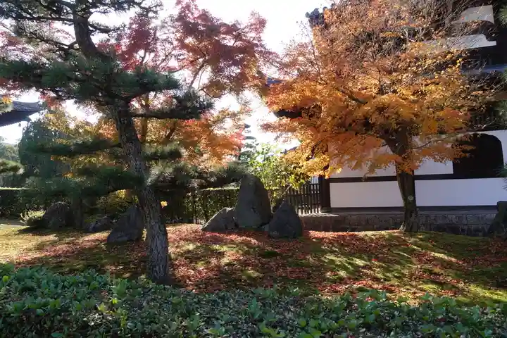 東福禅寺(東福寺)の庭園