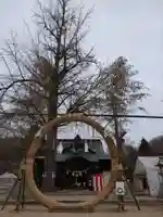 賀羅加波神社のお祭り