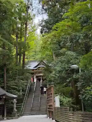 宝登山神社(埼玉県)