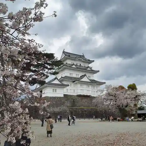 報徳二宮神社の周辺