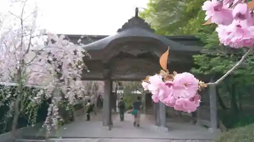 宝珠山 立石寺の山門