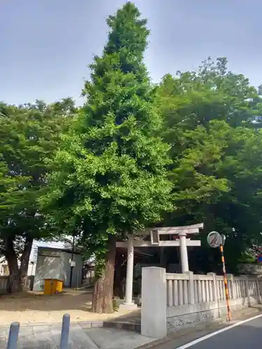 藤森稲荷神社(東京都)