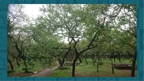 谷保天満宮(東京都)
