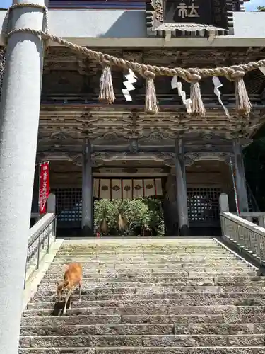 金華山黄金山神社(宮城県)