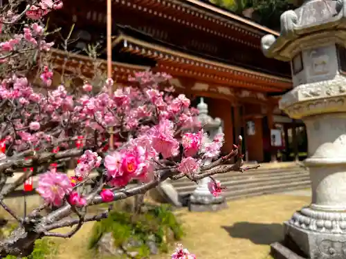 宝厳寺(滋賀県)