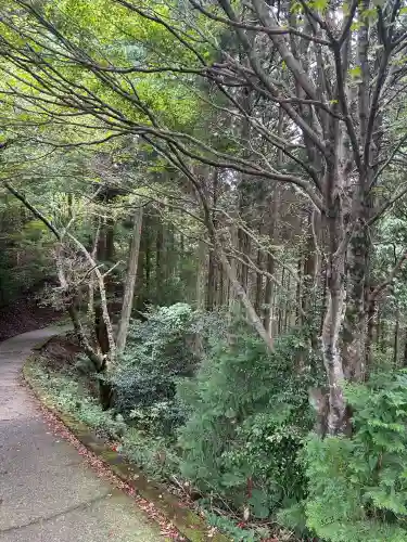 横峰寺(愛媛県)