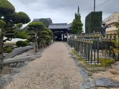 金剛寺(奈良県)