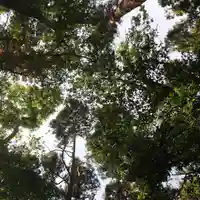 香取神社の自然