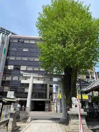 柏神社(千葉県)