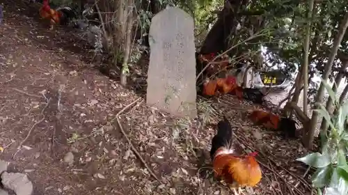 谷保天満宮の動物