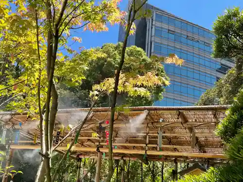 東京大神宮の庭園