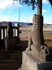 熊野神社の狛犬