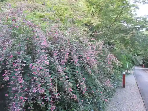梨木神社の自然