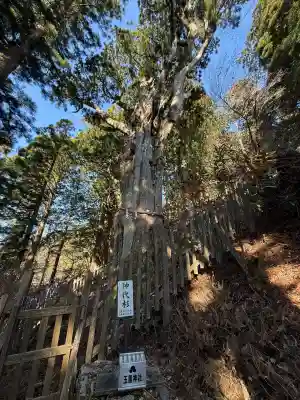 玉置神社(奈良県)