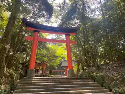 宇佐神宮(大分県)