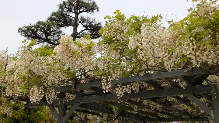 誉田八幡宮(大阪府)
