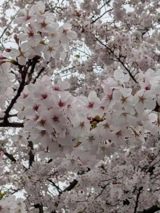 宝仙寺(東京都)