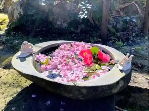 かっぱの寺 栖足寺の手水舎