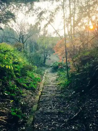 精矛神社(鹿児島県)