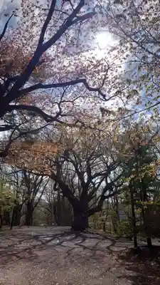 相馬神社(北海道)