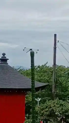 白狐山光星寺(山形県)