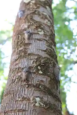 三津厳島神社(愛媛県)