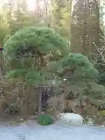 玉泉寺(埼玉県)