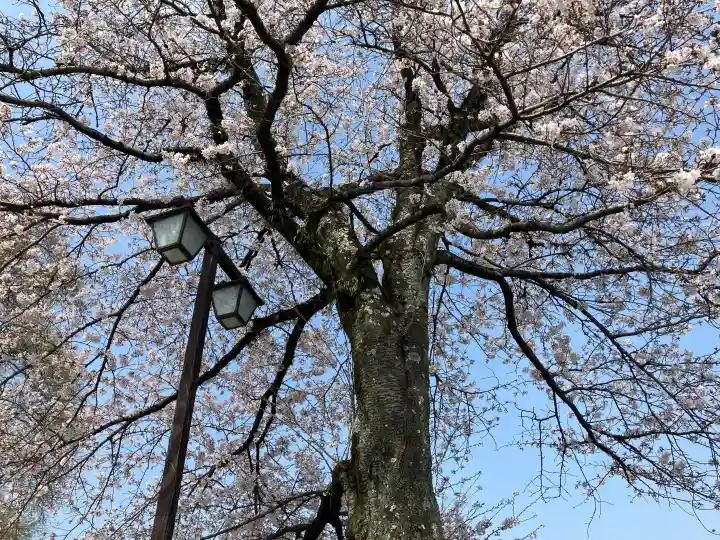 富士山本宮浅間大社の{uncategorized: "未分類", other: "その他", undefined: "問題あり", building: "その他建物", grave: "お墓", sacred_gate: "鳥居", guardian: "狛犬", statue: "像", buddha: "仏像", history: "歴史", nature: "自然", garden: "庭園", animal: "動物", pagoda: "塔", temizu: "手水舎", mountain_gate: "山門・神門", sanctuary: "本殿・本堂", subordinate: "末社・摂社", art: "芸術", scenery: "景色", jizo: "地蔵", ema: "絵馬", goshuin: "御朱印", omikuji: "おみくじ", items: "授与品その他", amulet: "お守り", goshuincho: "御朱印帳", eats: "食事", festival: "お祭り", votive_dance: "神楽", shichigosan: "七五三参", wedding: "結婚式", experience: "体験その他", initially: "初詣", around: "周辺", anti_infection: "感染症対策"}