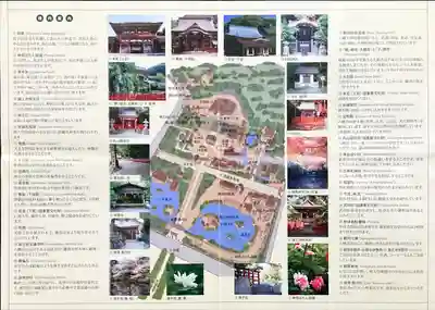 鶴岡八幡宮(神奈川県)