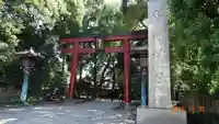 根津神社の鳥居