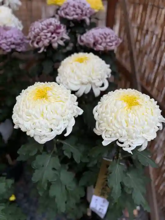 諏訪大社下社秋宮(長野県)