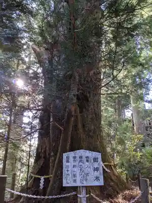 砥鹿神社（奥宮）(愛知県)