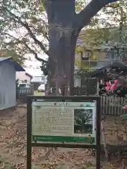 龍ケ崎八坂神社の歴史