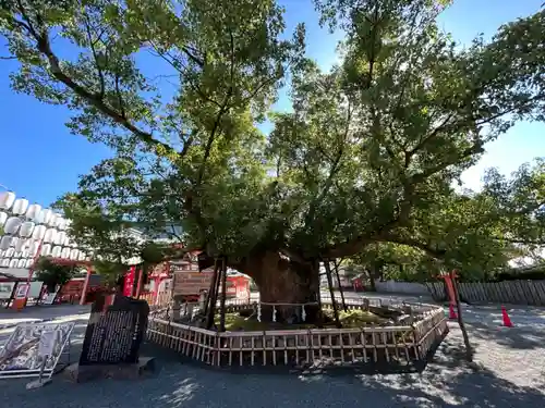 風浪宮(福岡県)