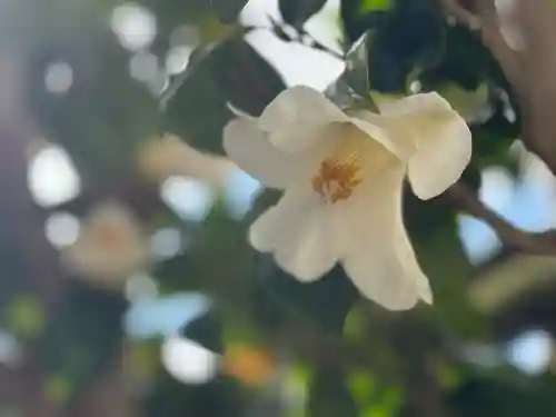 西方山極楽寺(岐阜県)