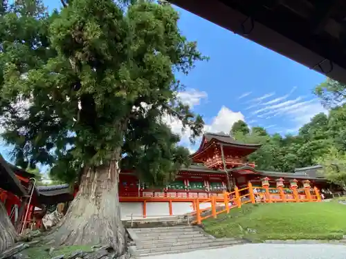 春日大社の本殿