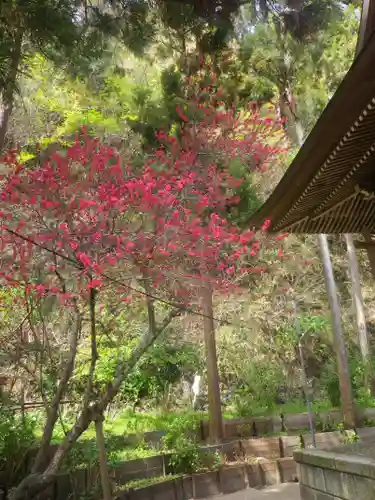 御霊神社の自然