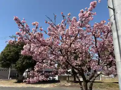 佐野赤城神社の{uncategorized: "未分類", other: "その他", undefined: "問題あり", building: "その他建物", grave: "お墓", sacred_gate: "鳥居", guardian: "狛犬", statue: "像", buddha: "仏像", history: "歴史", nature: "自然", garden: "庭園", animal: "動物", pagoda: "塔", temizu: "手水舎", mountain_gate: "山門・神門", sanctuary: "本殿・本堂", subordinate: "末社・摂社", art: "芸術", scenery: "景色", jizo: "地蔵", ema: "絵馬", goshuin: "御朱印", omikuji: "おみくじ", items: "授与品その他", amulet: "お守り", goshuincho: "御朱印帳", eats: "食事", festival: "お祭り", votive_dance: "神楽", shichigosan: "七五三参", wedding: "結婚式", experience: "体験その他", initially: "初詣", around: "周辺", anti_infection: "感染症対策"}