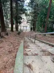 鷹巣神社(茨城県)