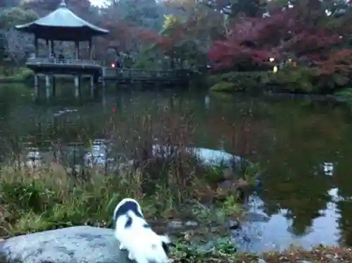 成田山新勝寺の自然