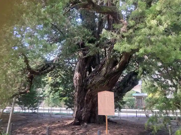 建長寺(神奈川県)