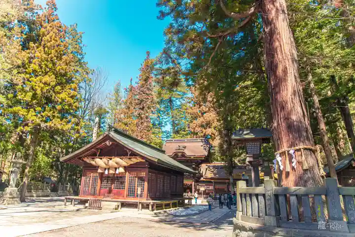 諏訪大社下社春宮(長野県)