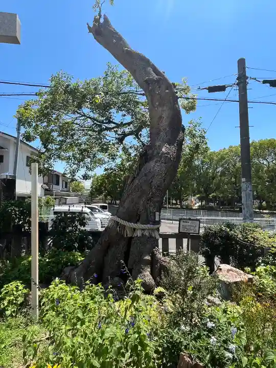 水堂須佐男神社(兵庫県)