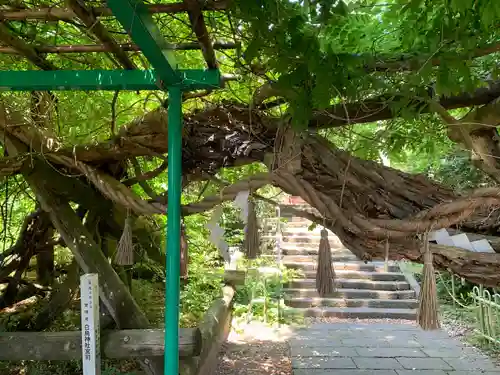 白鳥神社(宮城県)
