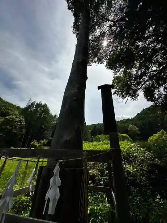 諏訪大社上社前宮(長野県)