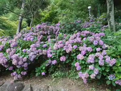 秋葉神社の自然