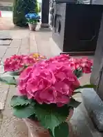 伏木香取神社の自然