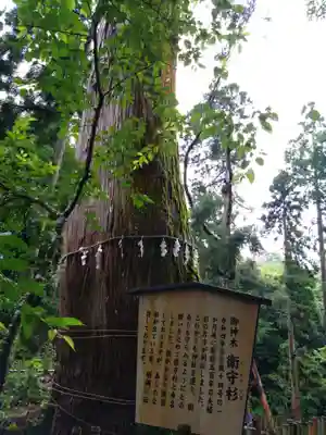 白鳥神社の自然