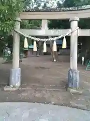 若宮神社(静岡県)