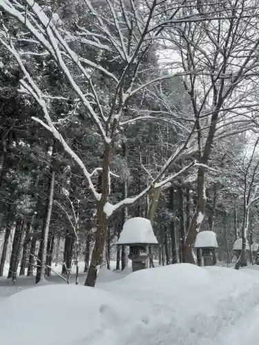 北海道神宮の自然